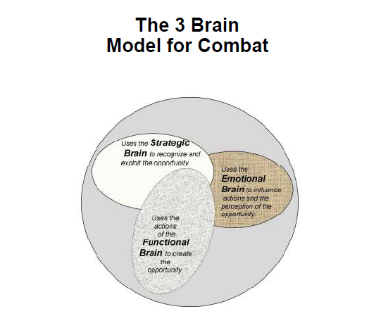 The 3 Brain Model for Combat 
