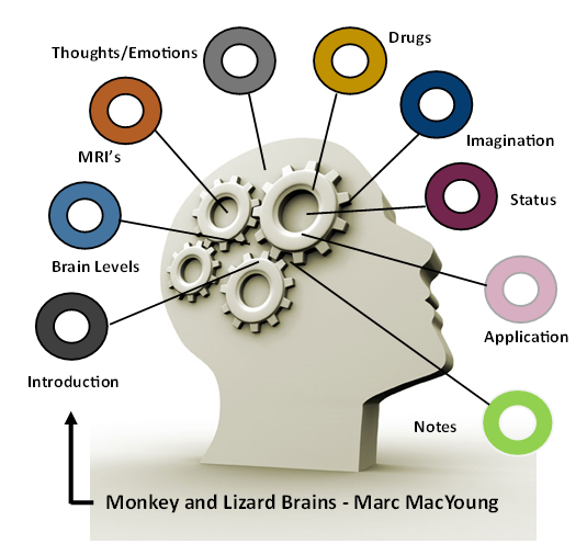 Monkey and Lizard Brains - Marc MacYoung